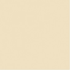 Unique Camel Internal Cladding (4 Pack)