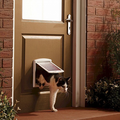 Petsafe / Staywell 715 Small Pet Door - White with See-Through Flap