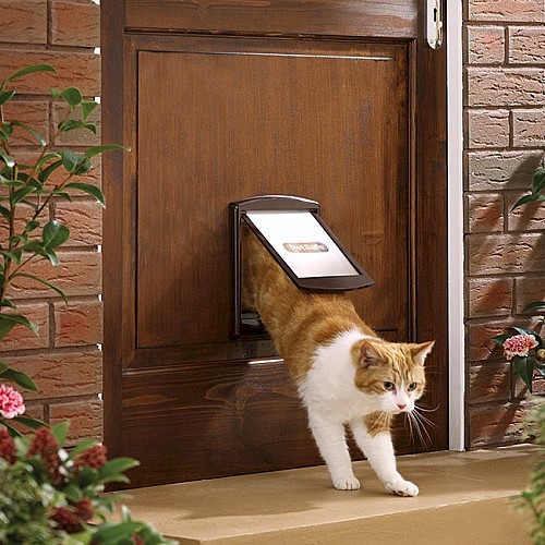 Petsafe / Staywell 730 Small Pet Door - Brown with See-Through Flap