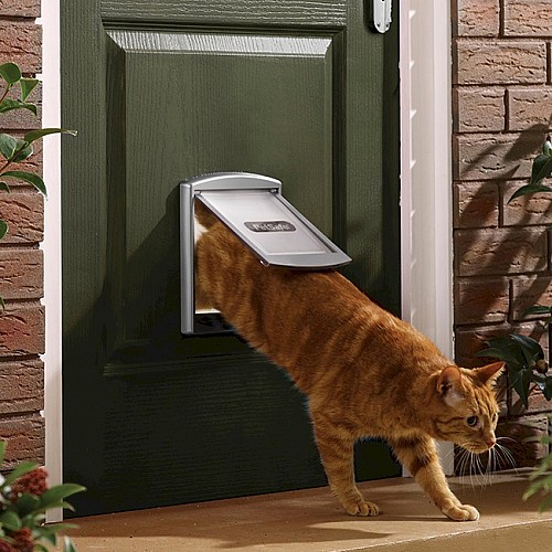 Petsafe / Staywell 737 Small Pet Door - Grey with See-Through Flap
