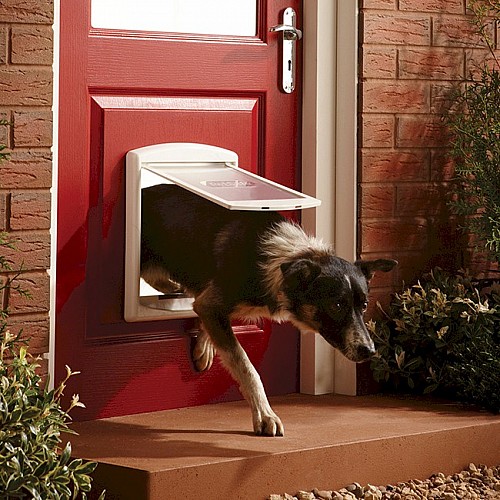Petsafe / Staywell 740 Medium Dog Door - White with See-Through Flap