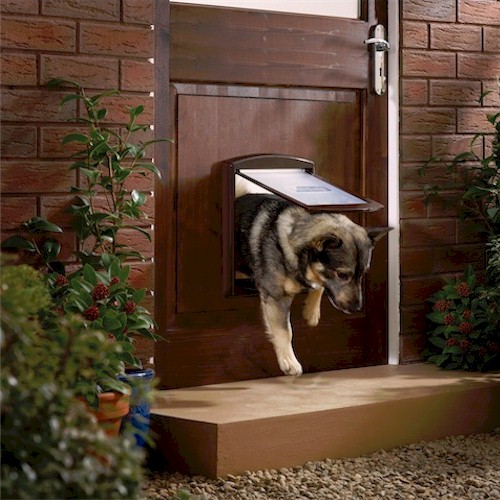 Petsafe / Staywell 755 Medium Dog Door - Brown with See-Through Flap
