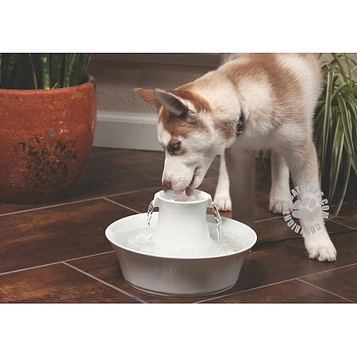 Drinkwell® Ceramic Avalon Dog Water Fountain – 2L Capacity with Charcoal Filter