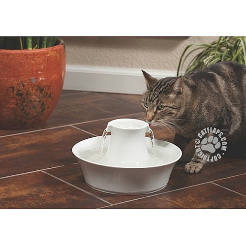 Drinkwell® Ceramic Avalon Dog Water Fountain – 2L Capacity with Charcoal Filter
