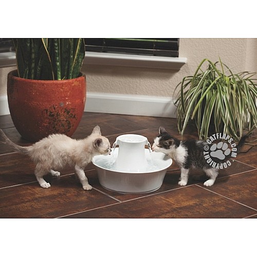 Drinkwell® Ceramic Avalon Dog Water Fountain – 2L Capacity with Charcoal Filter