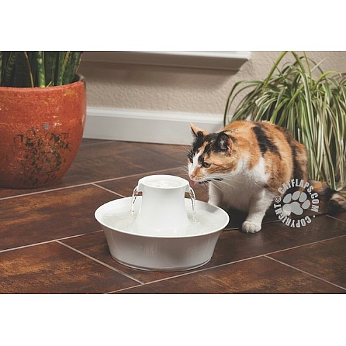 Drinkwell® Ceramic Avalon Dog Water Fountain – 2L Capacity with Charcoal Filter