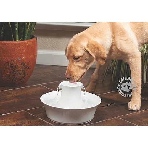 Drinkwell® Ceramic Avalon Dog Water Fountain – 2L Capacity with Charcoal Filter